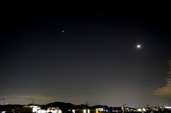 桜散る頃の星座Ⅱ