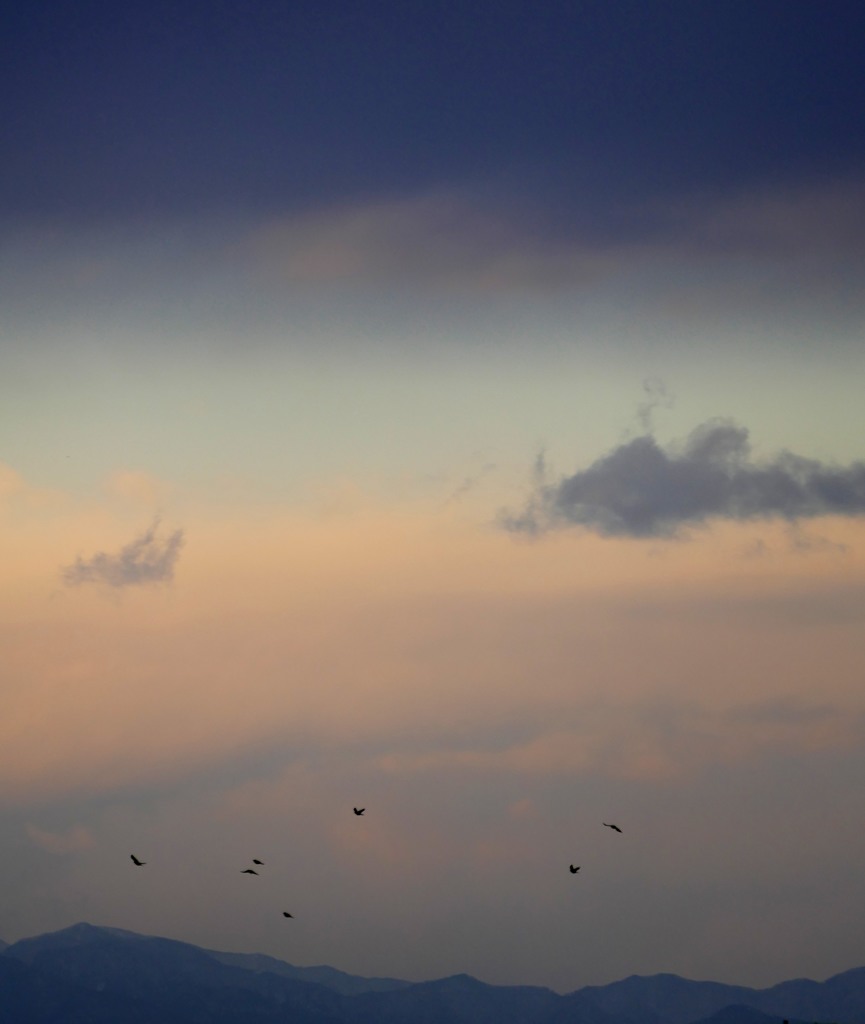 奥多摩方面は晴れてきた