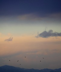 奥多摩方面は晴れてきた