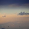 奥多摩方面は晴れてきた