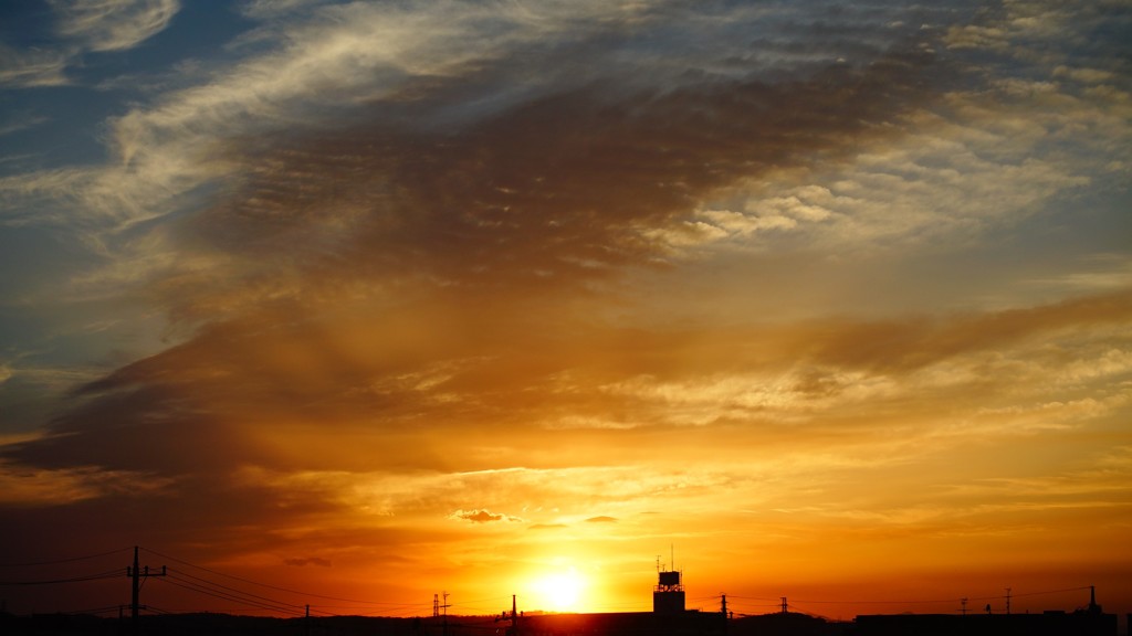 琥珀色のロッコール