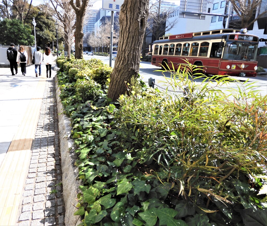 緑が活き活き