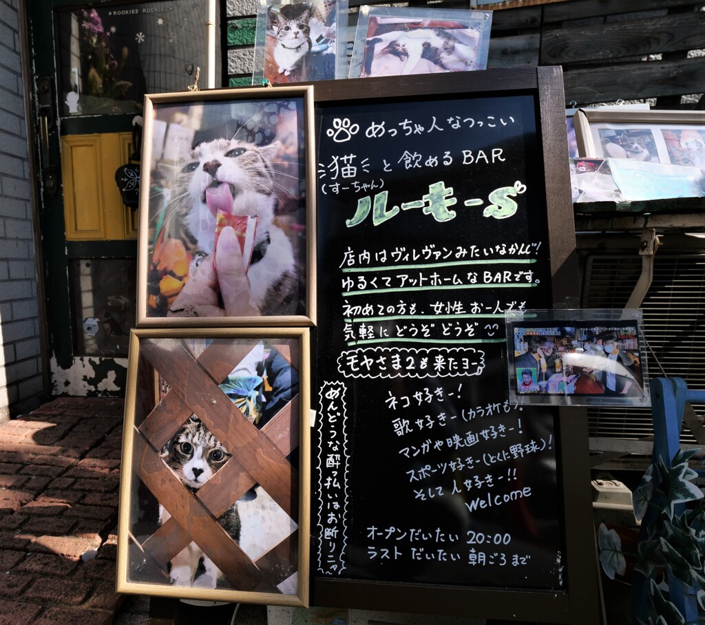 看板猫の店