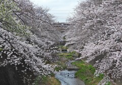 今週は忙しくなりそう