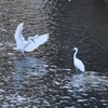 こ～んなに大きかったんだ