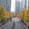 西口通りの銀杏並木