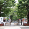 けやき並木通り