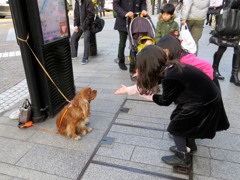 じゃ2人でお控えなすって！