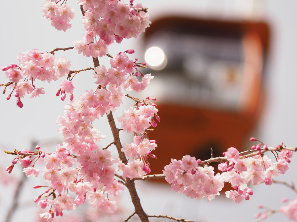 スカイシャトルと