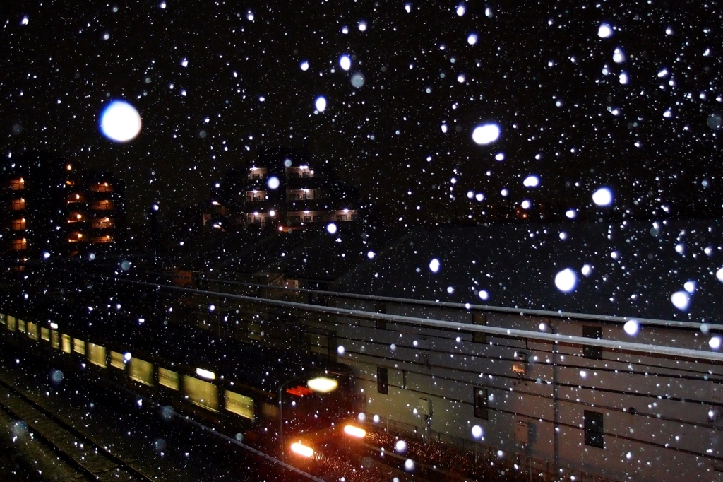 雪国の血