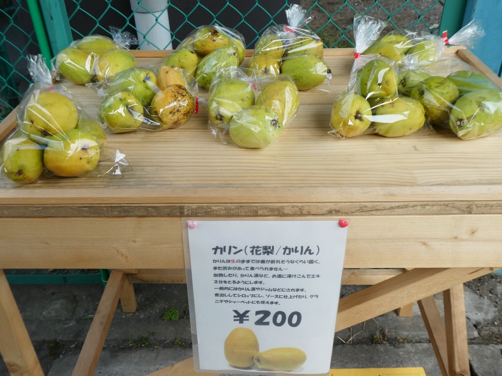 カリンだったのか！