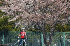 桜と日曜ライダー