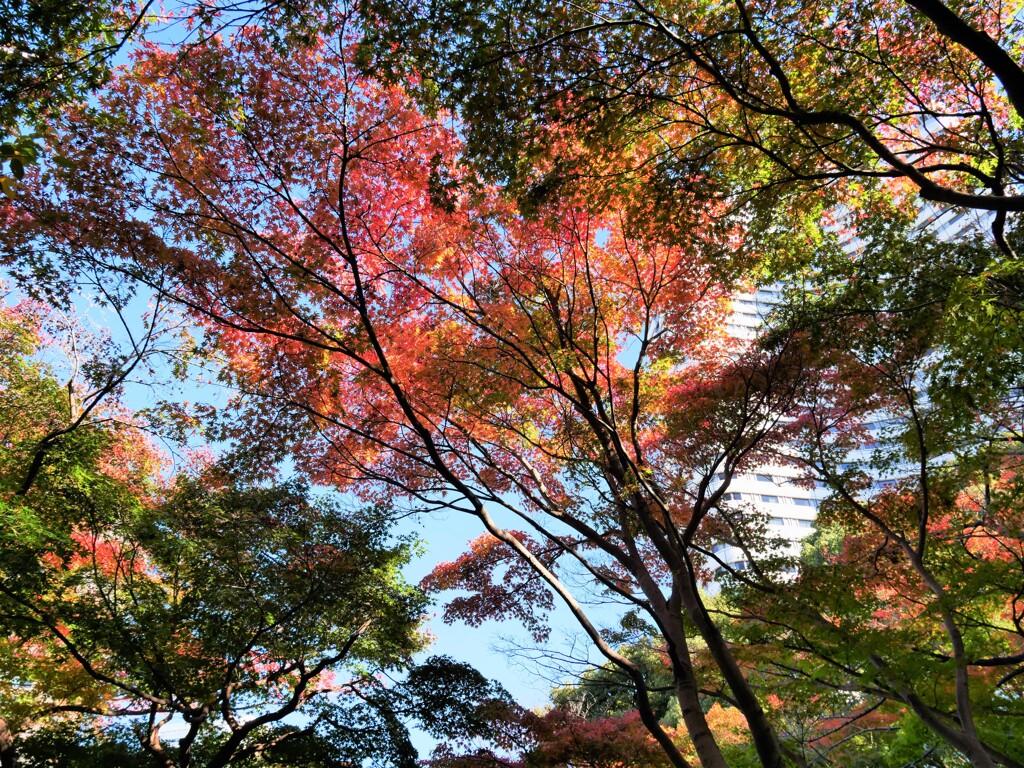 また出直すか…