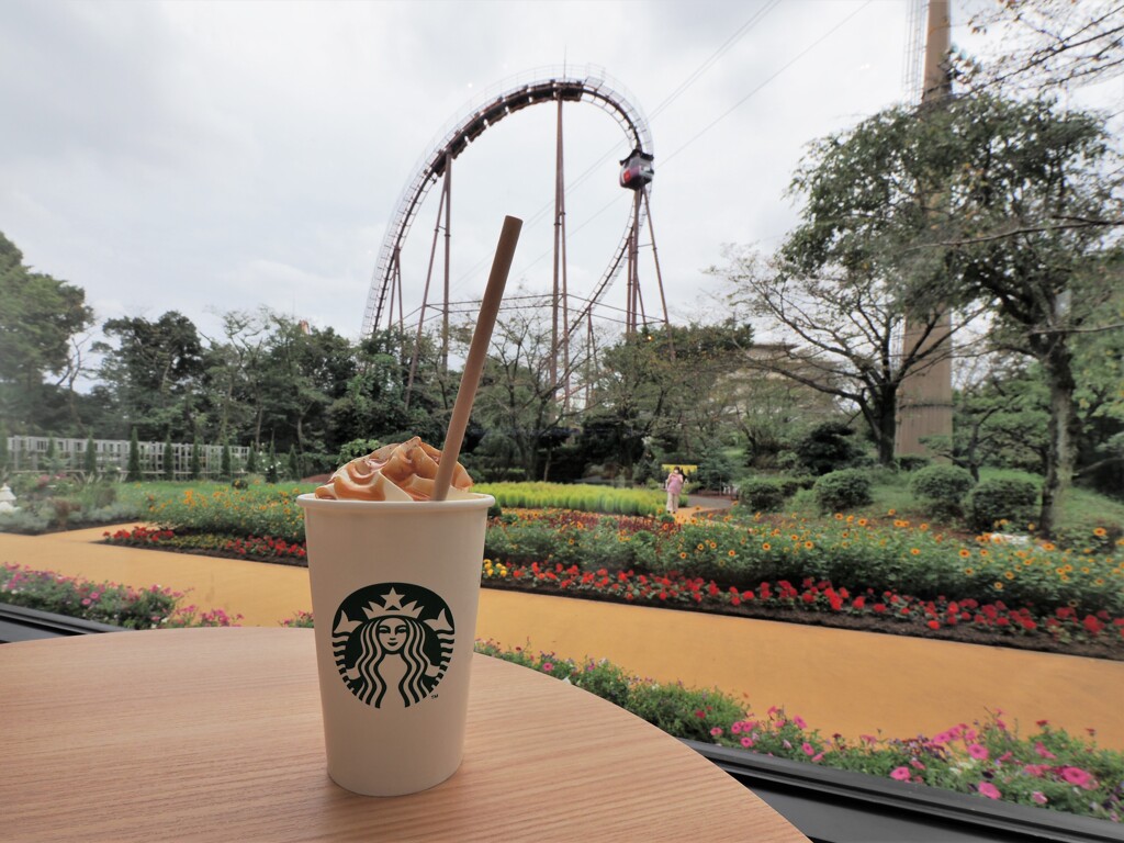 パナソニック・ルミックスGバリオ7－14㎜F4