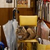 久しぶり～