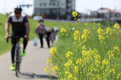 多摩川.com