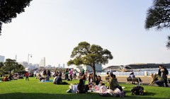 ピクニック日和