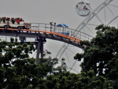 雨上がりの絶叫コースター