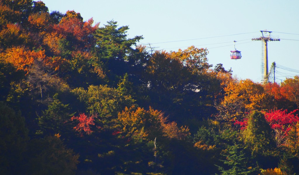 丘の紅葉