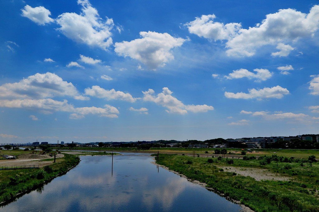 多摩川散歩