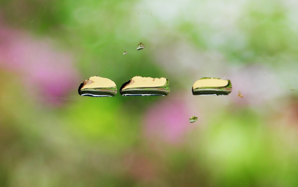 水滴のドクター・イエロー