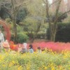 むずがる長女