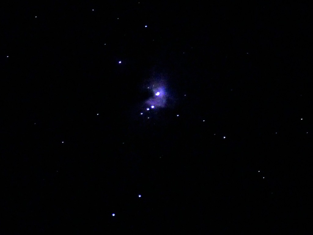 今年最後のオリオン大星雲