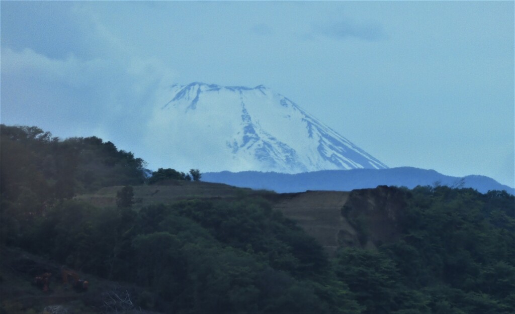 5月の富士