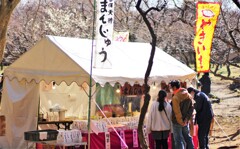 小春日和の土曜日なので