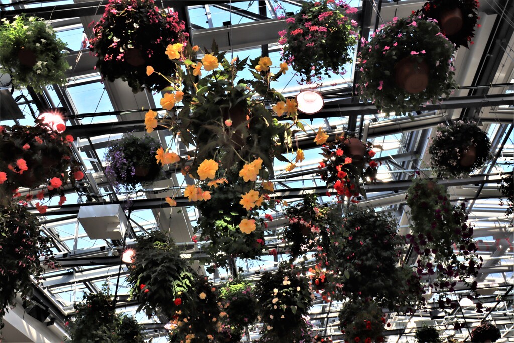 フラワーシャンデリア