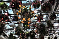 フラワーシャンデリア