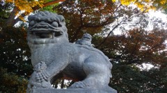 靖国の母