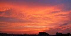 久しぶりの夕焼け