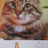 「ディー・カッツェ」オリジナルカレンダー8月