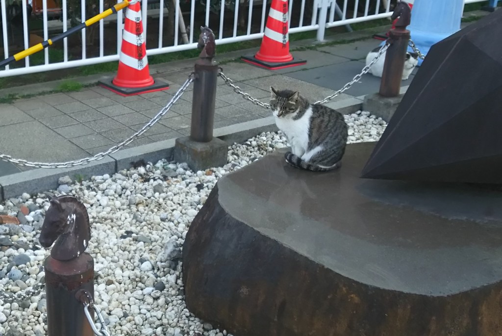駒猫