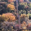 ヤマタノオロチ