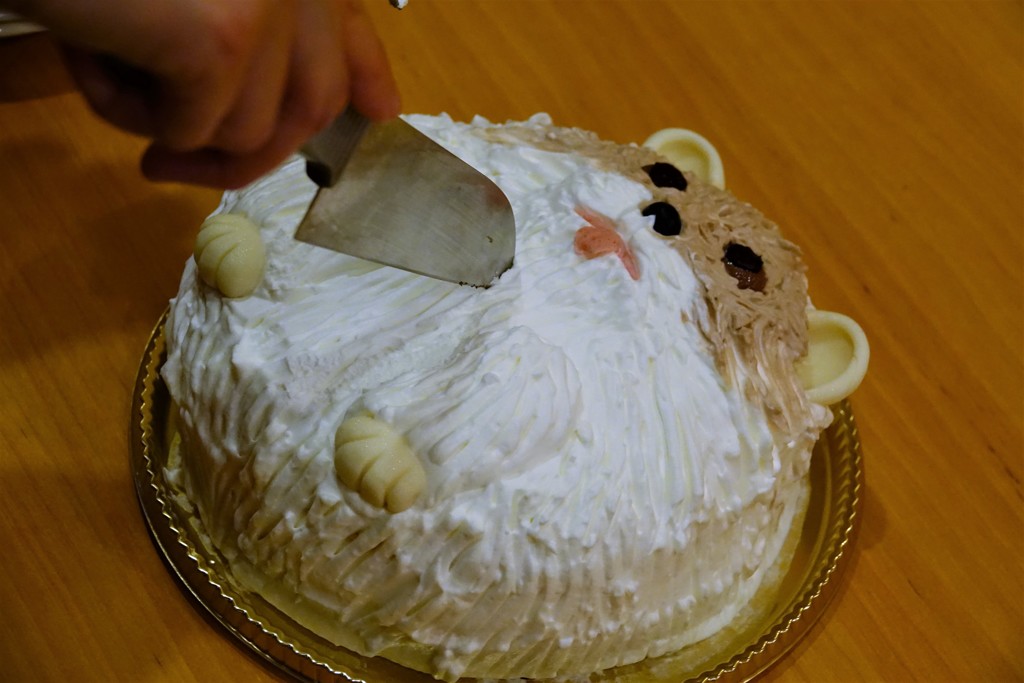 私、失敗しないので