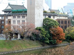 東京日和