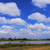 多摩川日和