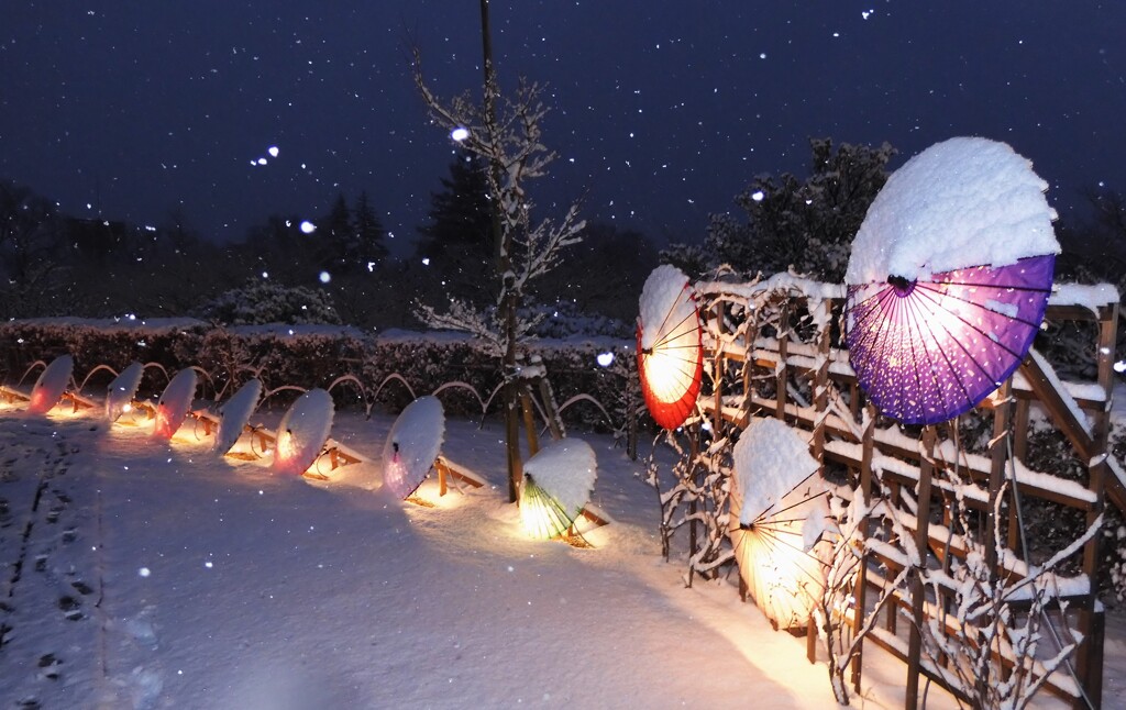 雪の和傘