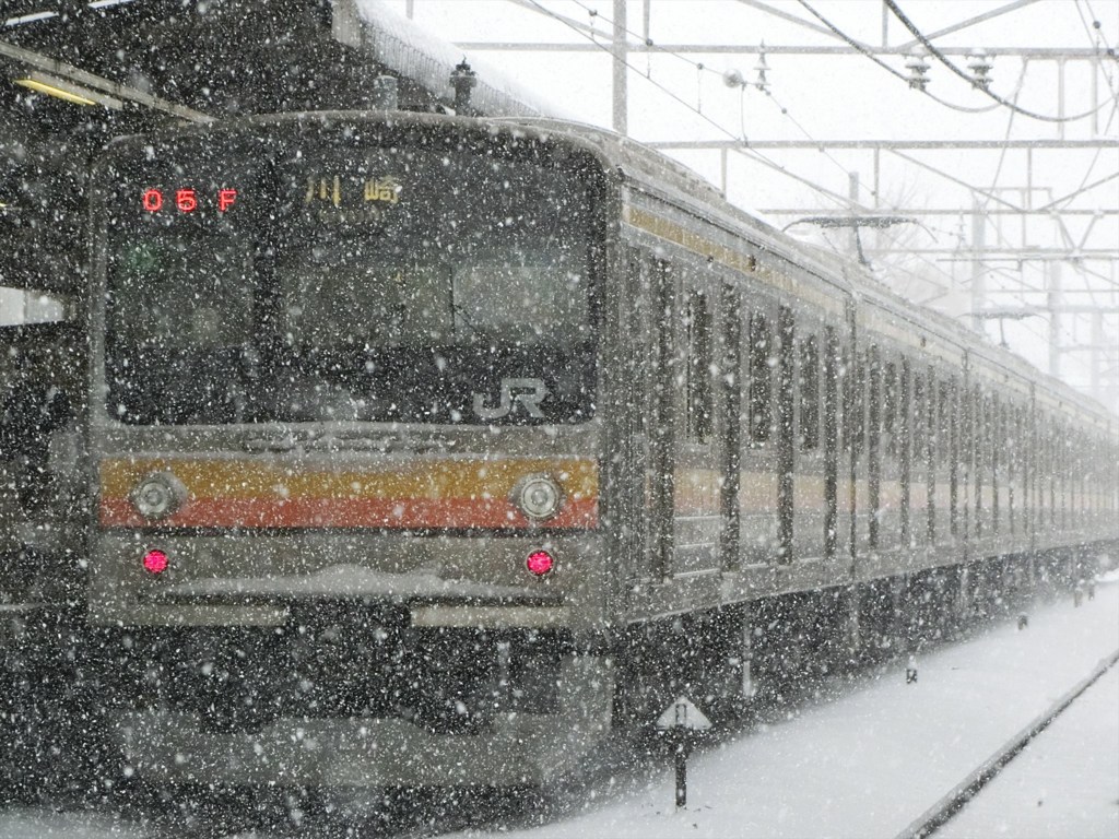 稲田堤の「今でしょ！」