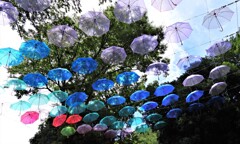 台風は大丈夫？