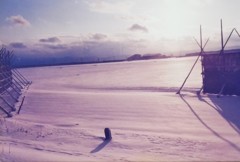 1987年1月21日