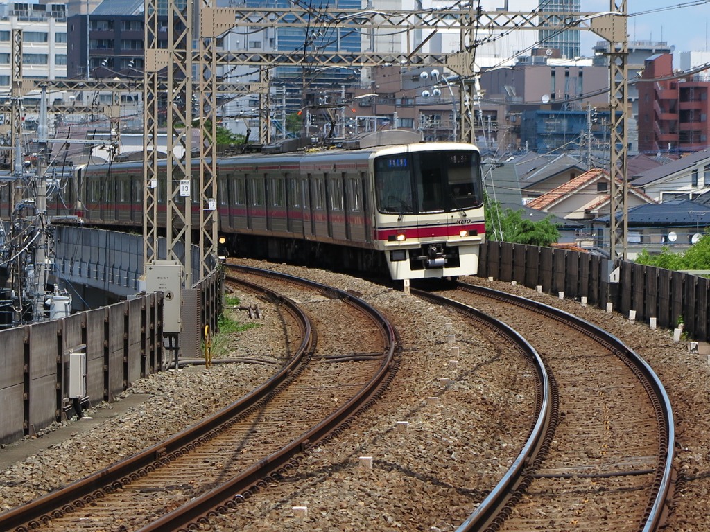 多摩川散歩