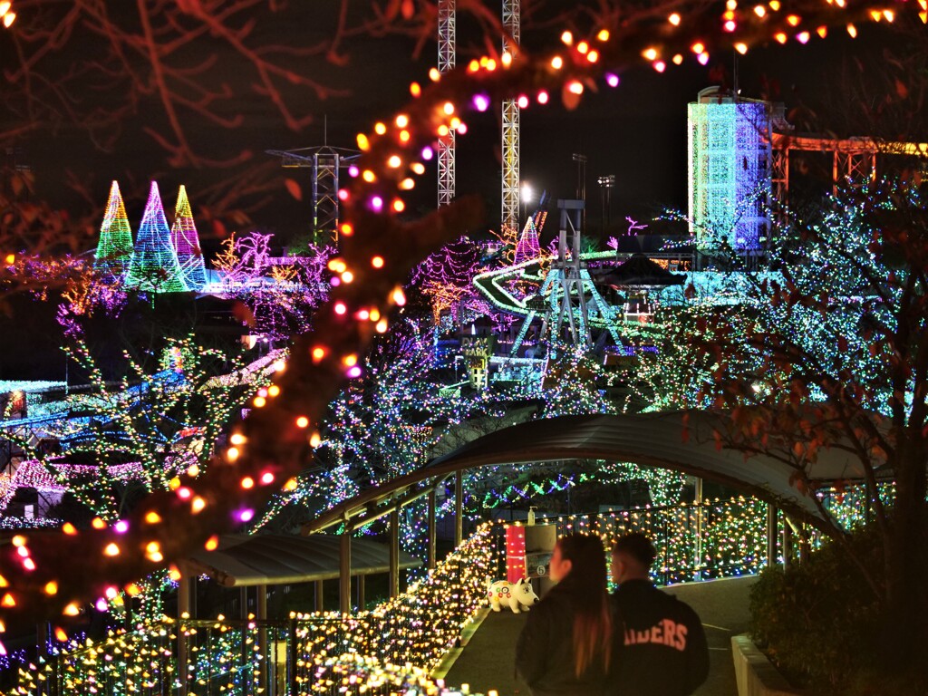 ジェルミネーション