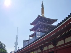 五重塔が！