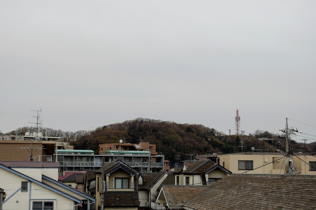 つれづれなるままにニコンP900
