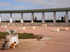水が飲みたいミケ（横浜「港の見える丘公園」）