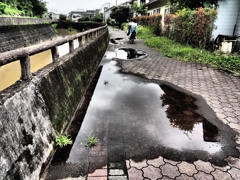 水溜り