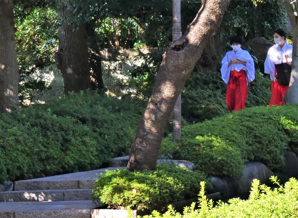 八芳園の巫女さん